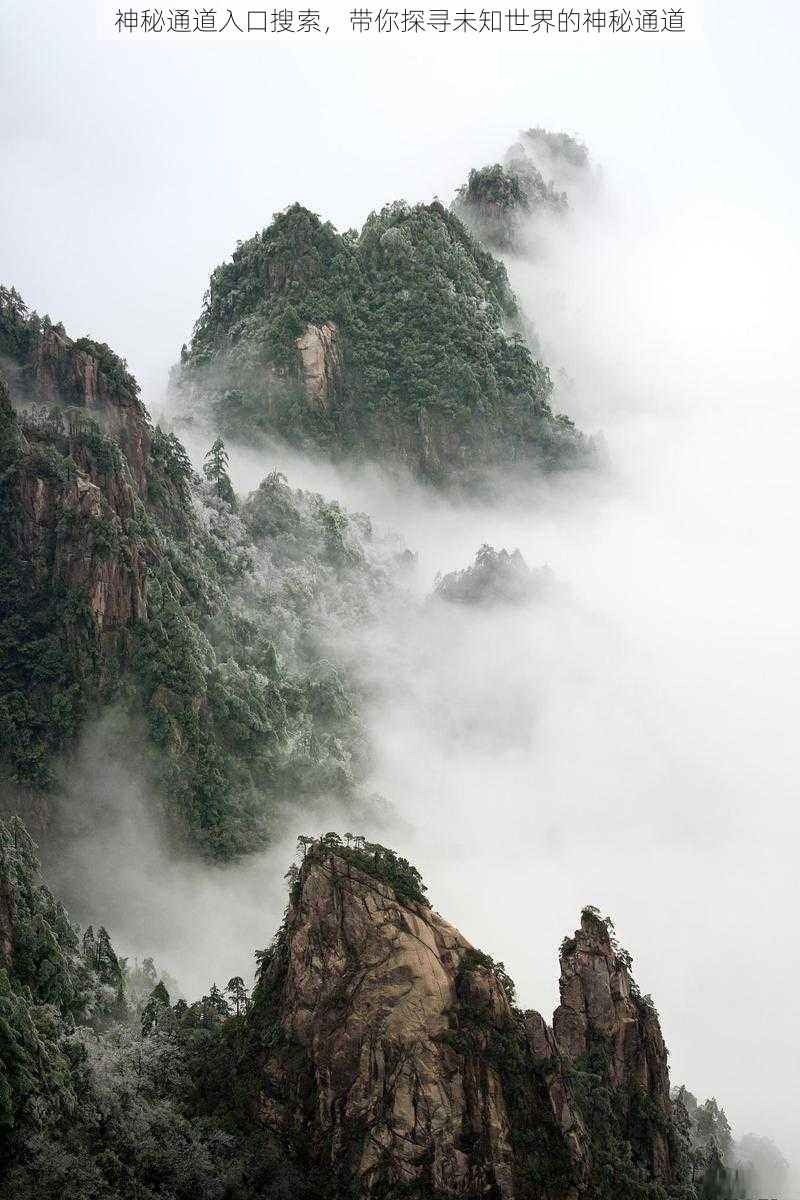 神秘通道入口搜索,带你探寻未知世界的神秘通道