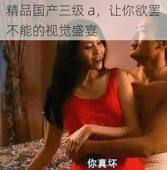 精品国产三级 a,让你欲罢不能的视觉盛宴