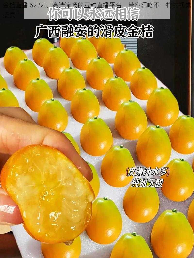 金桔直播 6222t,高清流畅的互动直播平台,带你领略不一样的视觉盛宴