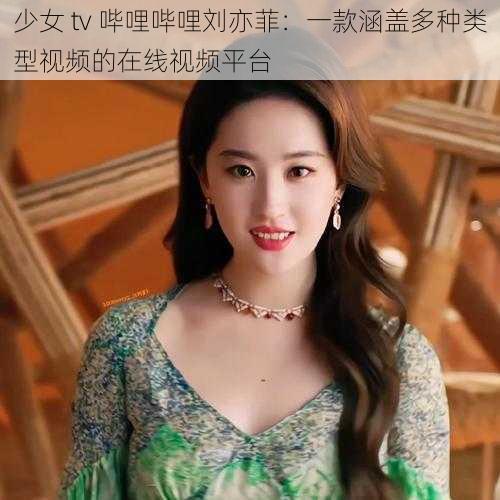少女 tv 哔哩哔哩刘亦菲:一款涵盖多种类型视频的在线视频平台