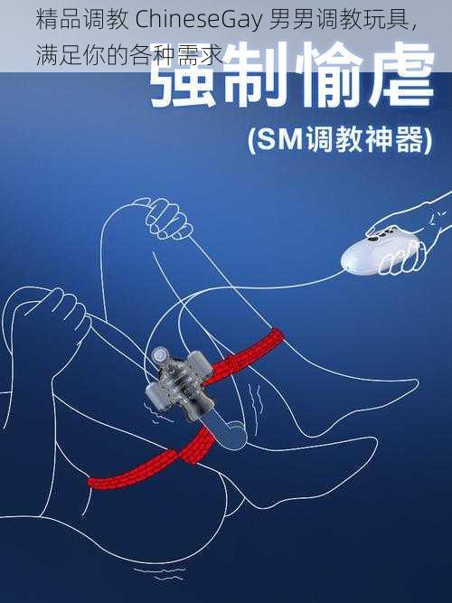 精品调教 ChineseGay 男男调教玩具,满足你的各种需求