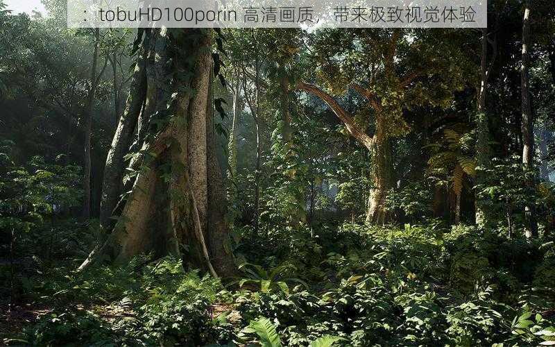 :tobuHD100porin 高清画质,带来极致视觉体验