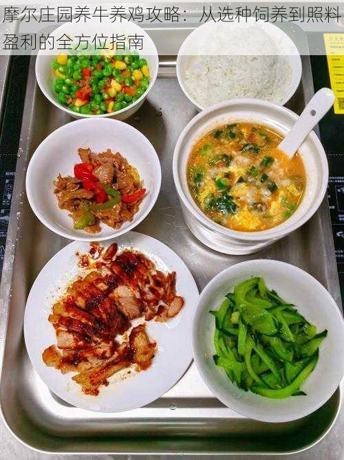 摩尔庄园养牛养鸡攻略:从选种饲养到照料盈利的全方位指南