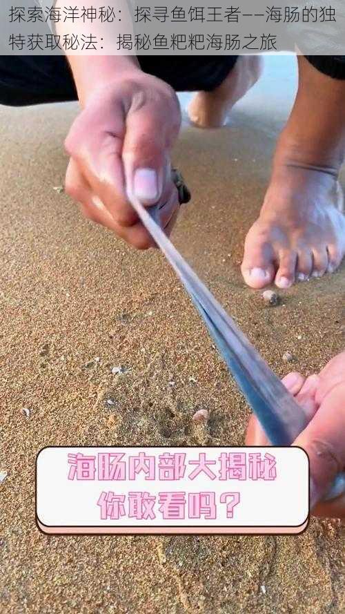 探索海洋神秘:探寻鱼饵王者——海肠的独特获取秘法:揭秘鱼粑粑海肠之旅