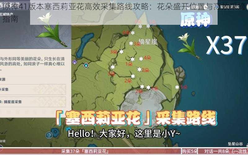 原神41版本塞西莉亚花高效采集路线攻略:花朵盛开位置与高效采摘指南